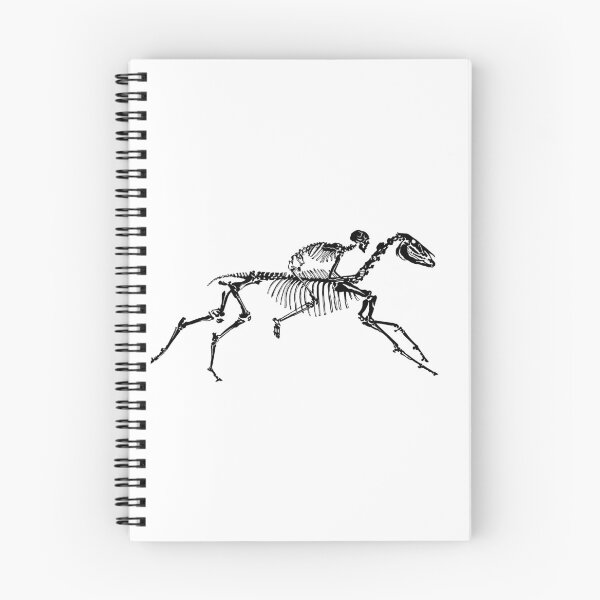 Item preview, Horse Skeleton designed and sold by clarafornia.