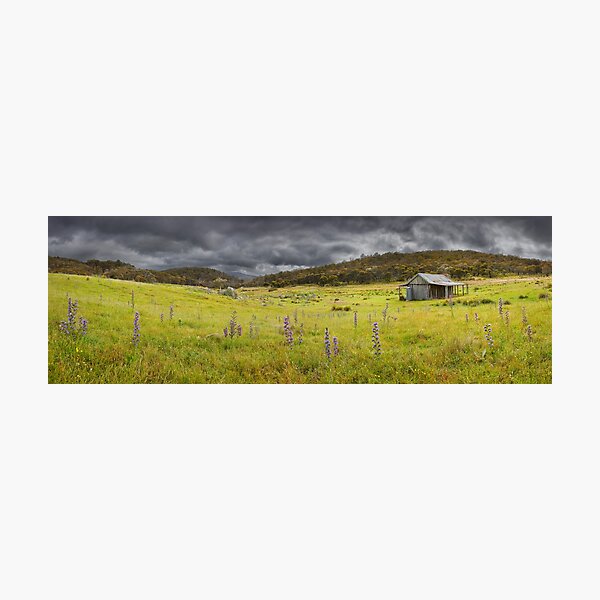 Item preview, Brayshaws Hut, Namadgi National Park, Australian Capital Territory, Australia designed and sold by Michael Boniwell.