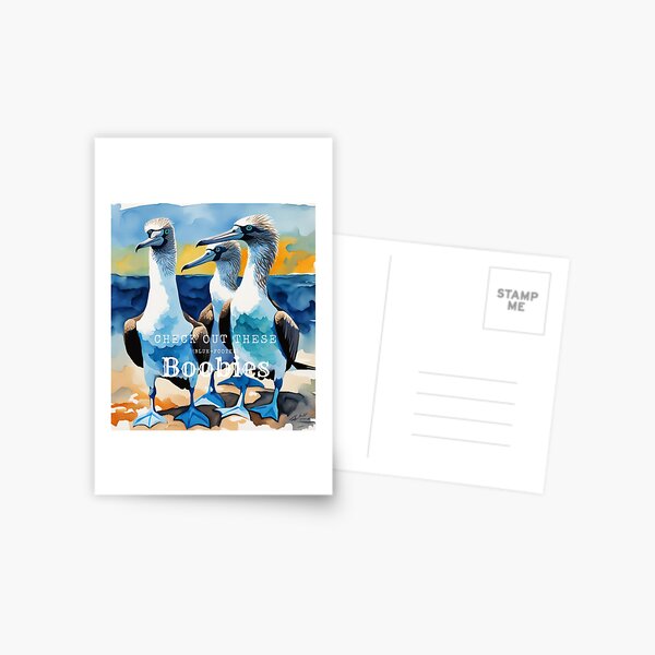 Blue Footed Booby Postcards for Sale