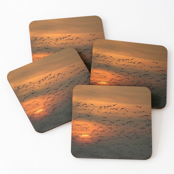 Item preview, Geese in a Norfolk Sunset. designed and sold by Billlee.