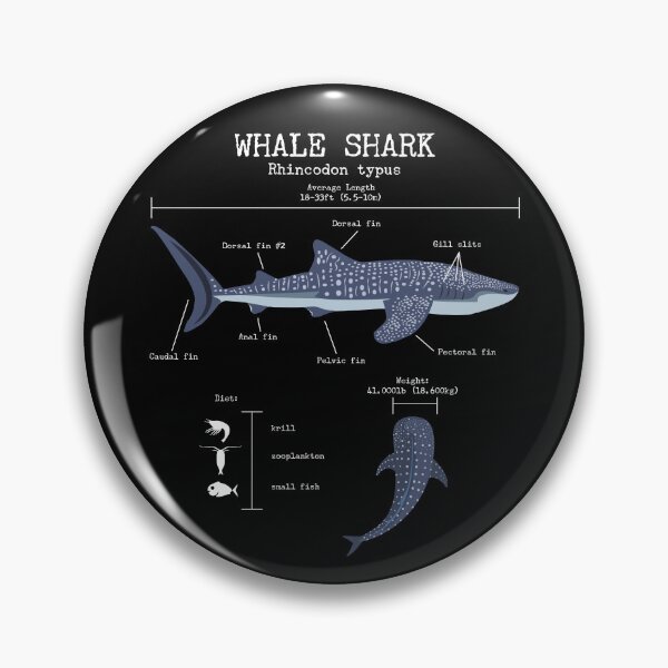 Item preview, Whale Shark Anatomy Men's Women's Kids Whale Shark Gear designed and sold by DynamicDesign.