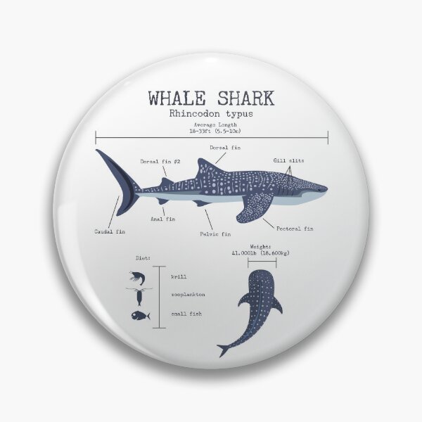 Item preview, Whale Shark Anatomy Men's Women's Kids Whale Shark Gear designed and sold by DynamicDesign.