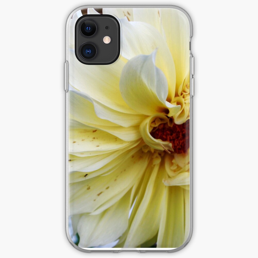 Dahlia iPhone Case & Cover