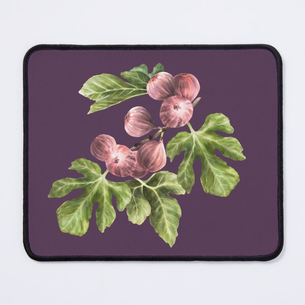 Item preview, Ripe purple fig fruit and leaves sticker hand-drawn watercolor designed and sold by BartolArt.
