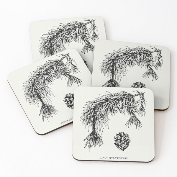 Item preview, Pinus Sylvestris (Scots Pine) Botanical Art with text designed and sold by Math Merch Design.