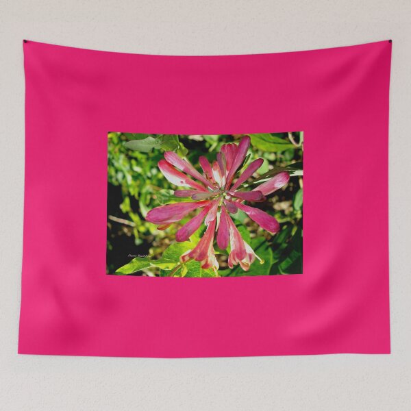 Item preview, Fragrant Honeysuckle designed and sold by Charmiene Maxwell-Batten.