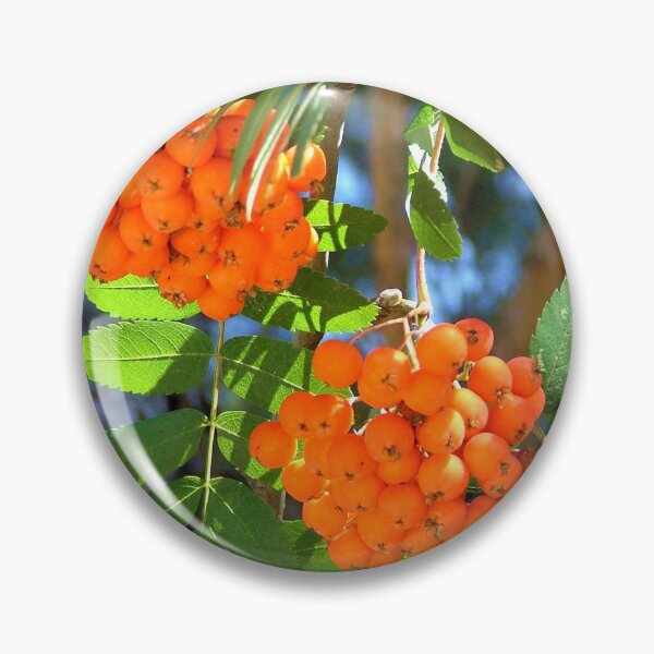Item preview, Fruits in the forest designed and sold by Luis J. de la Fuente.