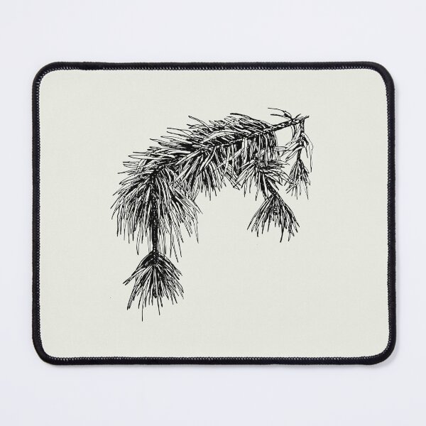 Item preview, Pinus Sylvestris (Scots Pine) Botanical Art designed and sold by Chrothon.