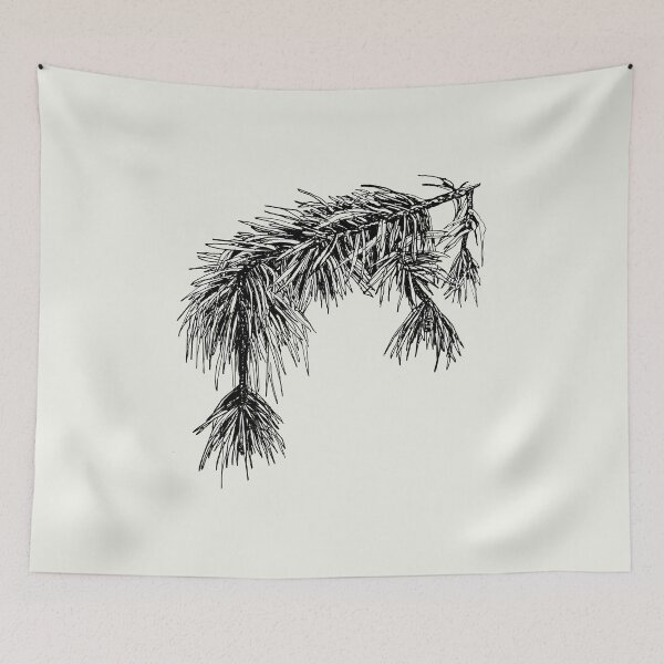 Item preview, Pinus Sylvestris (Scots Pine) Botanical Art designed and sold by Math Merch Design.