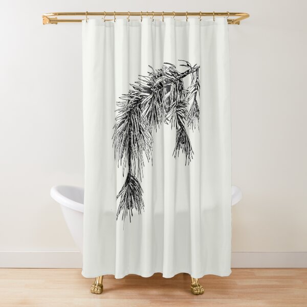 Item preview, Pinus Sylvestris (Scots Pine) Botanical Art designed and sold by Chrothon.