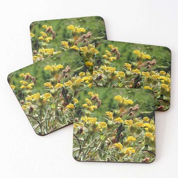 Item preview, Flowers in the forest designed and sold by Luis J. de la Fuente.