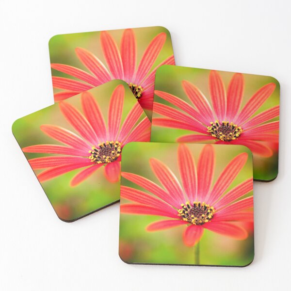 Item preview, Red Osteospermum designed and sold by FOLK ART FUSION by heidiannemorris.