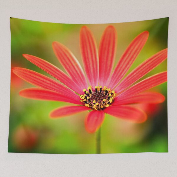 Item preview, Red Osteospermum designed and sold by FOLK ART FUSION by heidiannemorris.