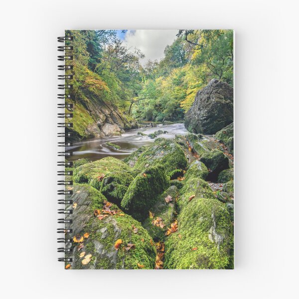 Item preview, Fairy Glen Snowdonia designed and sold by AJEvans.