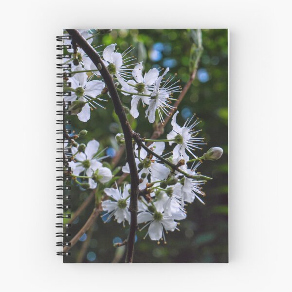 Item preview, Plum blossom(2024) designed and sold by jasminewang.