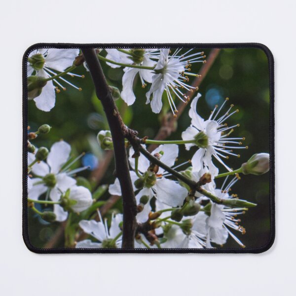 Item preview, Plum blossom(2024) designed and sold by jasminewang.