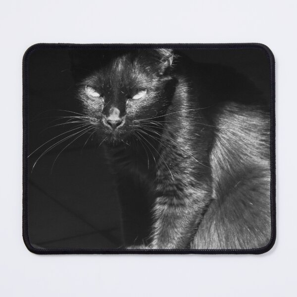 Item preview, sunbath. designed and sold by Nino rocha fotografia.