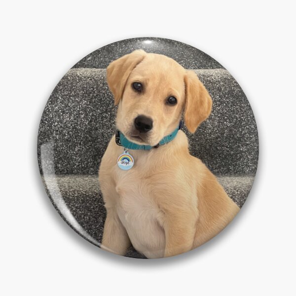 Item preview, Golden Labrador Puppy designed and sold by SpiroCat.