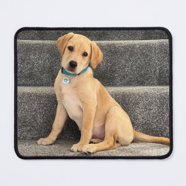 Item preview, Golden Labrador Puppy designed and sold by SpiroCat.