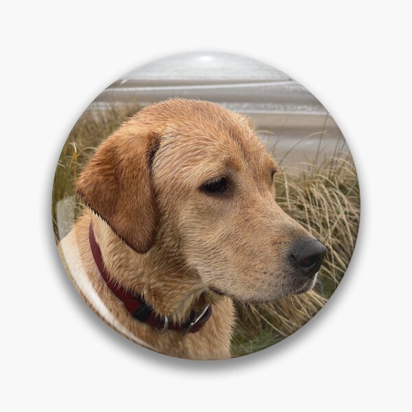 Item preview, Golden Labrador by the sea designed and sold by SpiroCat.