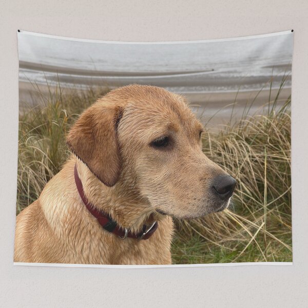 Item preview, Golden Labrador by the sea designed and sold by SpiroCat.
