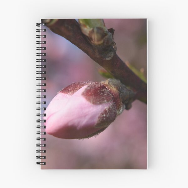 Item preview, Pink bud  designed and sold by Tonia Delozier's Photography .