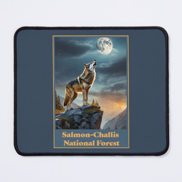 Item preview, Salmon-Challis National Forest designed and sold by NPStudio.