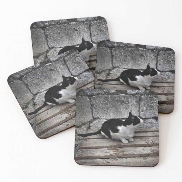 Item preview, Inquisitive Feline Exploring the Wonders of World designed and sold by bartekg3.