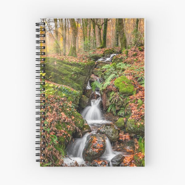 Item preview, Autumn Forest Stream Snowdonia designed and sold by AJEvans.