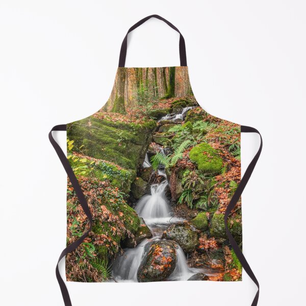 Item preview, Autumn Forest Stream Snowdonia designed and sold by AJEvans.