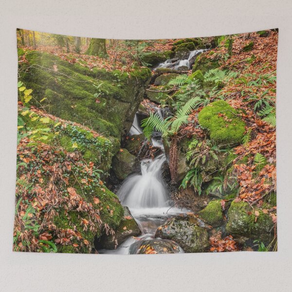 Item preview, Autumn Forest Stream Snowdonia designed and sold by AJEvans.