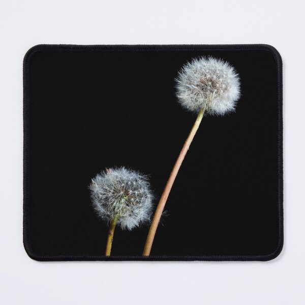 Item preview, dandelion flowers  designed and sold by Marco Varrone.
