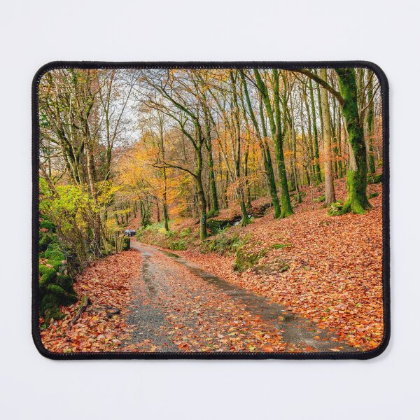 Item preview, Autumn Colours Snowdonia designed and sold by AJEvans.