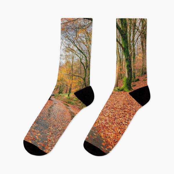 Item preview, Autumn Colours Snowdonia designed and sold by AJEvans.