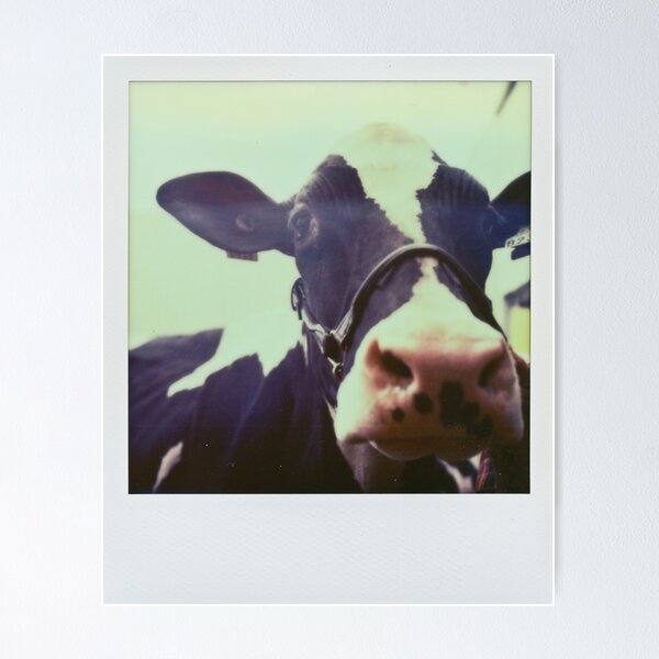 Item preview, The cow 2 designed and sold by Jean Beaudoin.