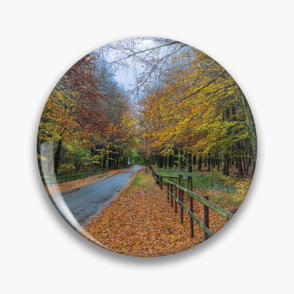 Artikelvorschau, Herbstliche Cotswolds Lane entworfen und verkauft von Graz-Photos.