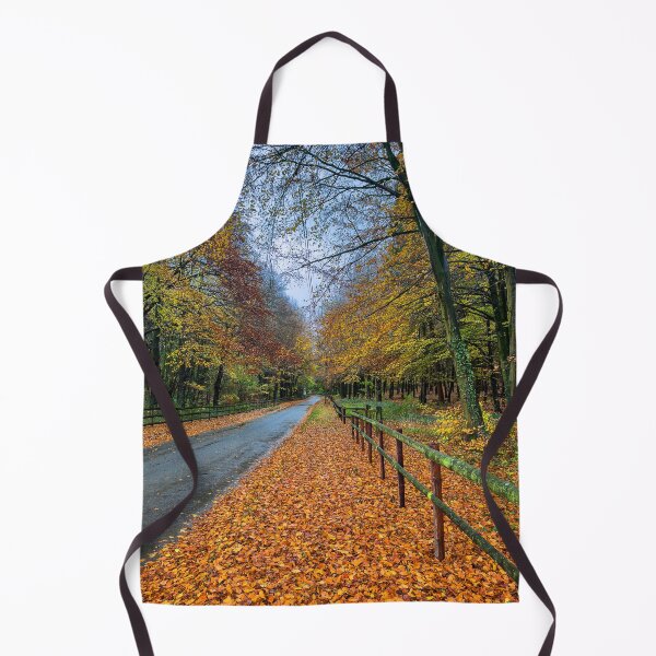 Artikelvorschau, Herbstliche Cotswolds Lane entworfen und verkauft von Graz-Photos.