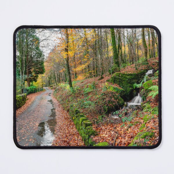 Item preview, Autumn Forest River designed and sold by AJEvans.