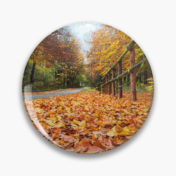 Artikelvorschau, Herbstliche Cotswolds Lane entworfen und verkauft von Graz-Photos.