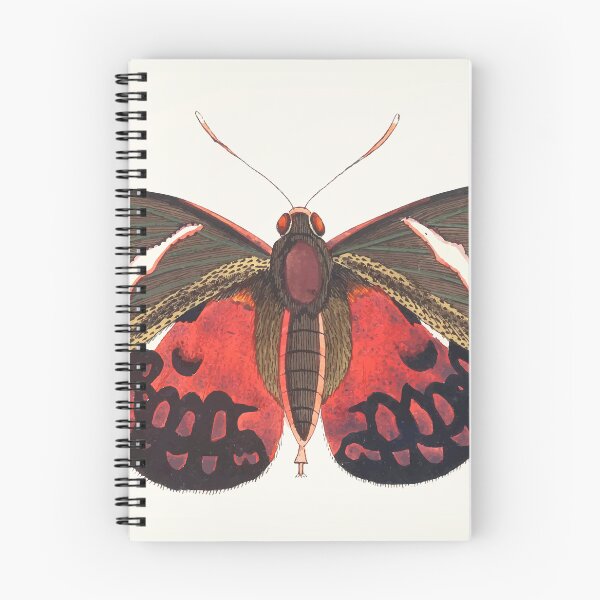 Item preview, Colourful moth designed and sold by StickyVista.