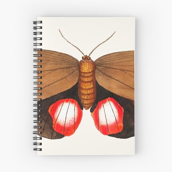 Item preview, Moth painting designed and sold by StickyVista.