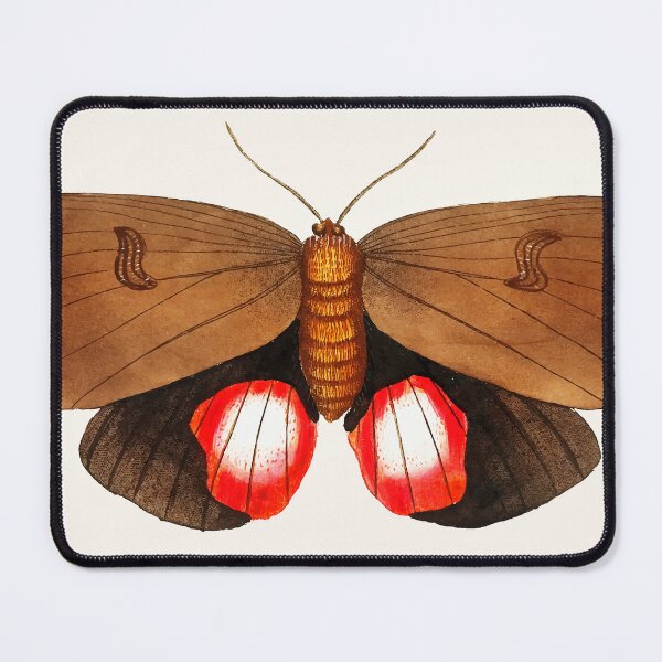 Item preview, Moth painting designed and sold by StickyVista.