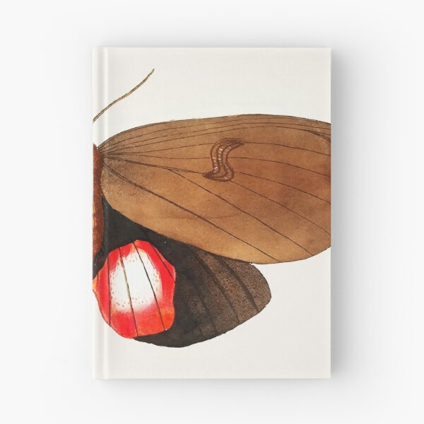 Item preview, Moth painting designed and sold by StickyVista.