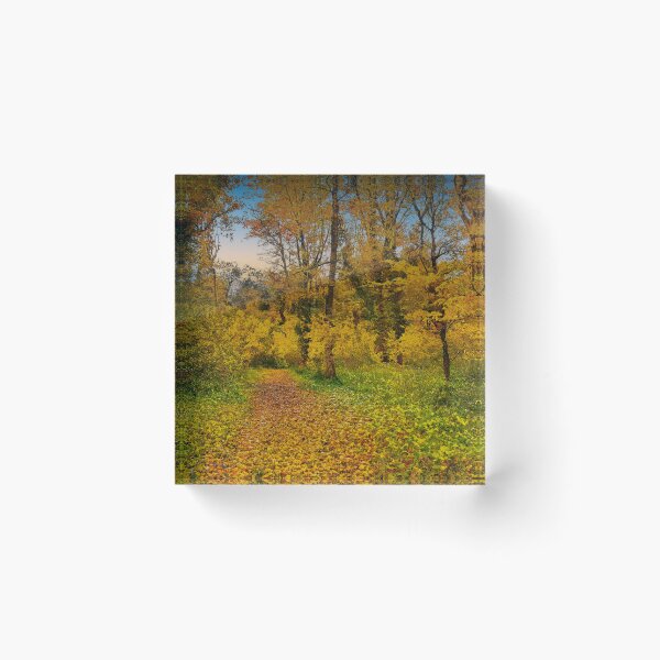 Item preview, Autumnal Forest Bridleway designed and sold by Graz-Photos.