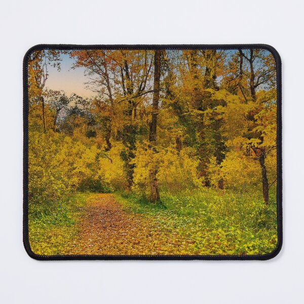Item preview, Autumnal Forest Bridleway designed and sold by Graz-Photos.
