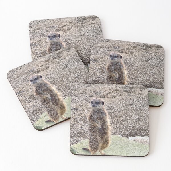 Item preview, Meerkat designed and sold by Graz-Photos.