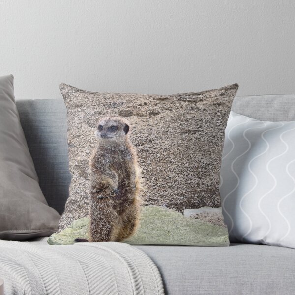 Item preview, Meerkat designed and sold by Graz-Photos.