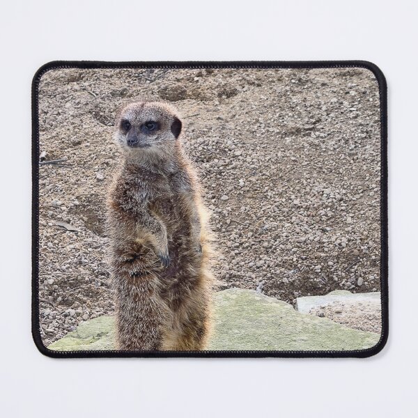 Item preview, Meerkat designed and sold by Graz-Photos.