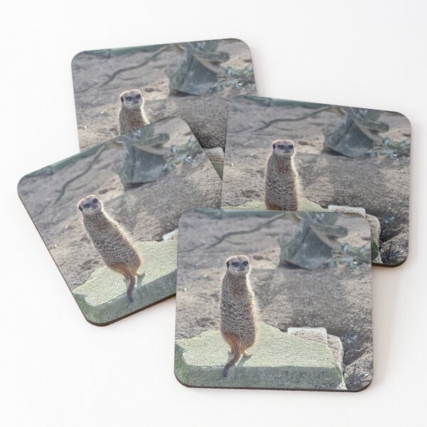 Item preview, Meerkat designed and sold by Graz-Photos.