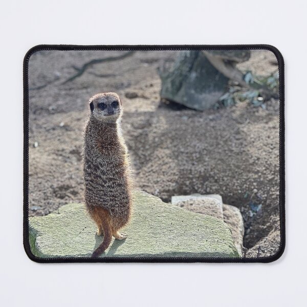 Item preview, Meerkat designed and sold by Graz-Photos.